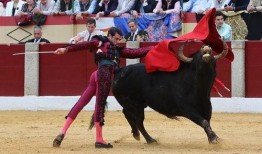 西班牙斗牛在线观看,在线观看斗牛盛宴